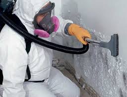 Best Mold Remediation for Healthcare Facilities in Mayo, MD